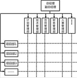 2019年一建項目管理趙春曉精講班考點 項目的組織 一